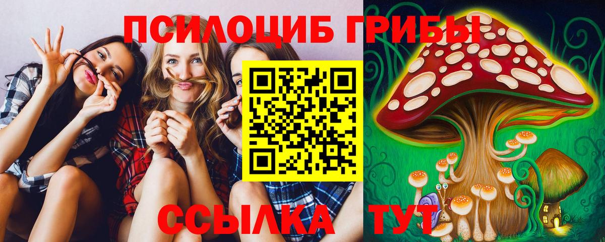 Аргун  Псилоцибиновые грибы MAGIC MUSHROOMS  Вход с VPN 