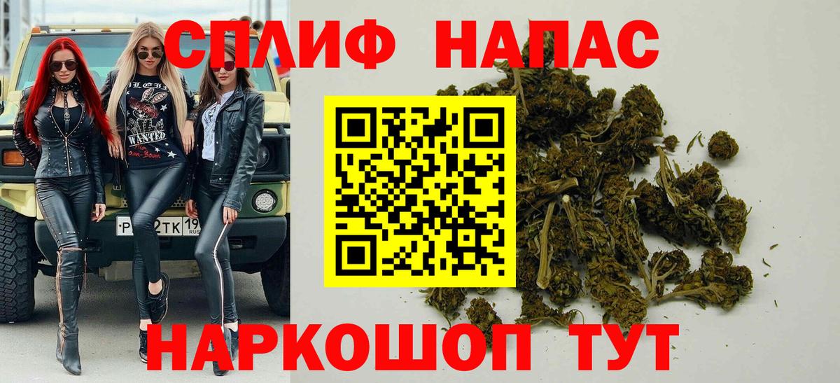 Конопля SATIVA & INDICA Аргун